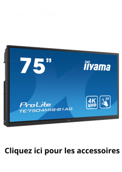 ProLite TE7504MIS-B3AG 75